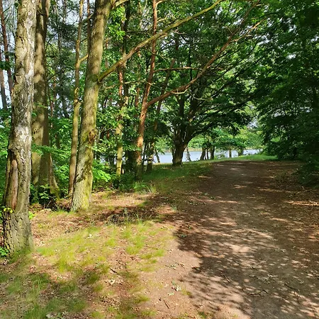 Villa Dom Wakacyjny Wojnowko Wojnowko