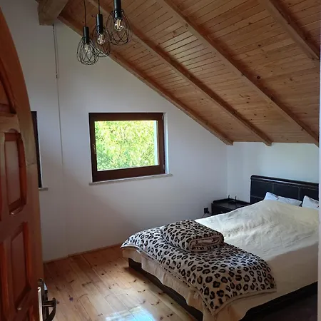 Dom Wakacyjny Wojnowko *