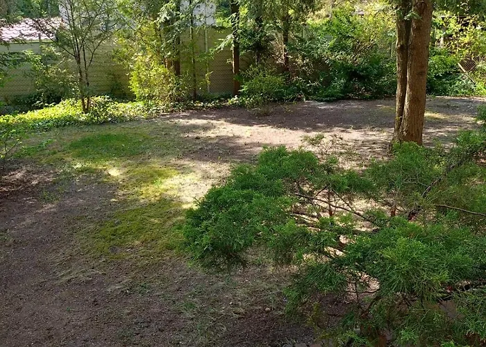 Dom Wakacyjny Wojnowko * Wojnowko